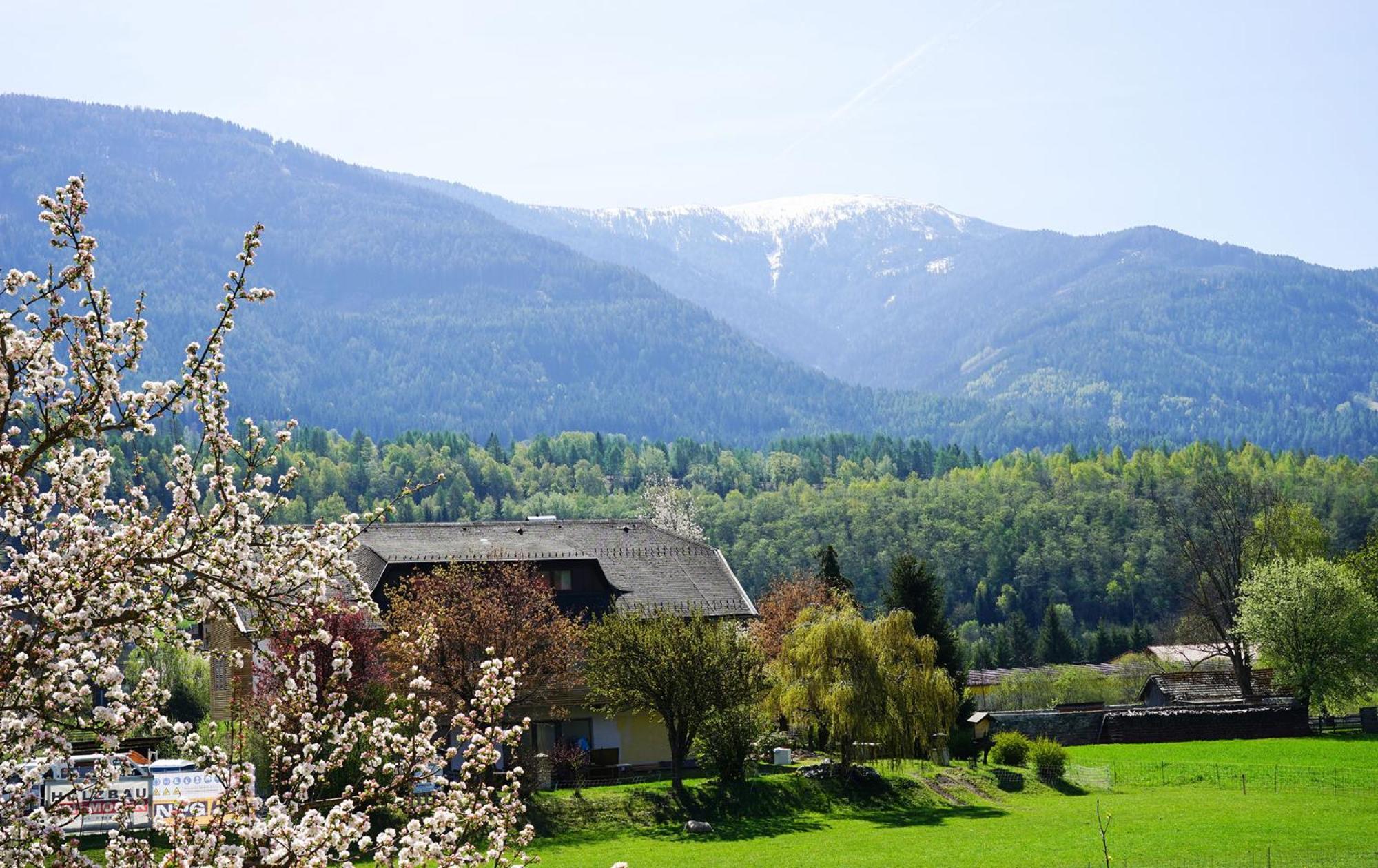Fallerhaus Gmünd Exterior foto
